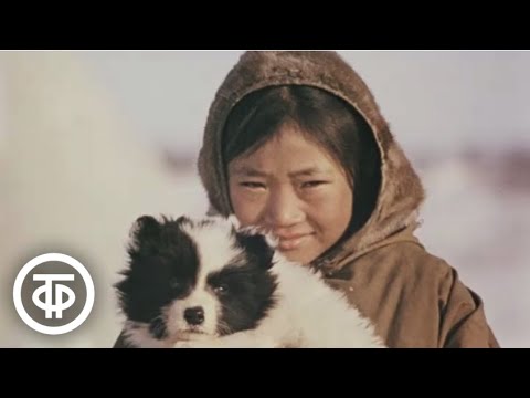 Видео: Полуостров Таймыр. Документальный фильм (1991)
