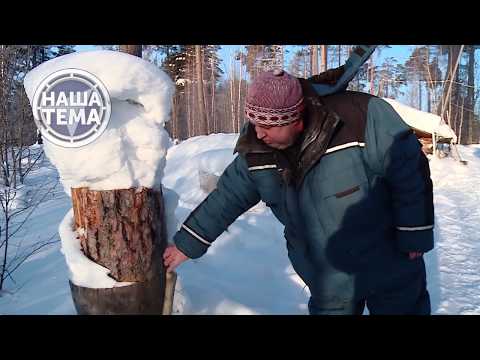 Видео: Хозяин тайги. Таёжные избушки (часть 1)