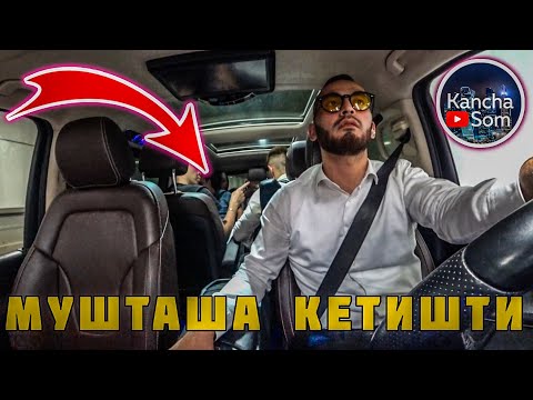 Видео: МУШТАШ БОЛУП КЫЗЫКТЫН БААРЫ ЭМИ БАШТАЛДЫ😱😨