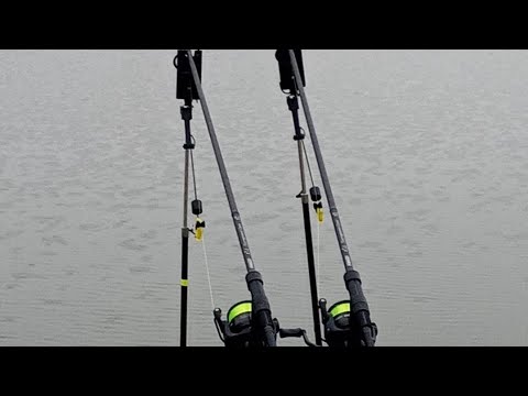 Видео: Новогодишни шарани да дъно. Откриване на сезон 2023!!!!!