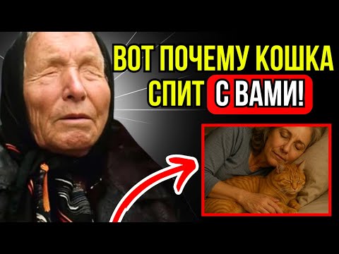 Видео: Почему кошка спит с вами? | Ответ Бабы Ванги вас удивит