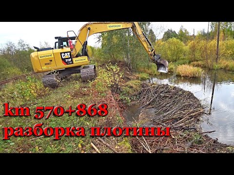 Видео: Ликвидация бобровой плотины. Мероприятия по пропуску воды. 4К.