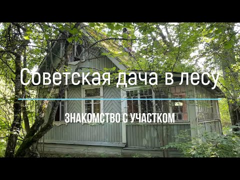 Видео: Купили заброшенную дачу в лесу. Советская дача - знакомство с участком и домом. Выпуск №1