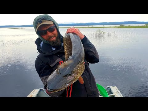 Видео: Ловля Трофейной щуки на топвотеры