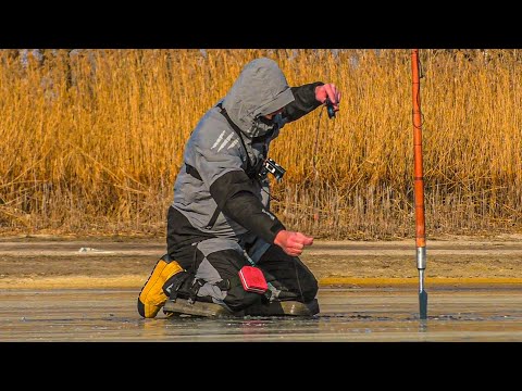 Видео: ЖЕСТЬ! ПЕРВЫЙ ЛЁД ТРЕЩИТ, САЗАНЫ КЛЮЮТ! Нашёл логово диких сазанов! Зимняя рыбалка 2025