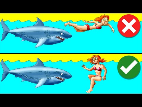 Видео: Как Пережить Нападение Диких Животных