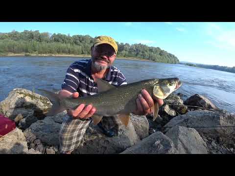 Видео: Рыбалка на ЖЕРЕХА с гидом Но никогда не выбирайте такого как я