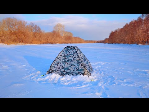 Видео: Неожиданно кивок в дугу. Зимняя рыбалка Февраль 2025.