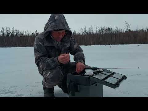 Видео: чемпионат по ловле рыбы, 23 апреля 2022 г.