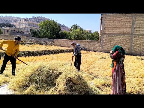 Видео: Незабываемый день