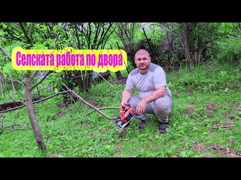 Видео: Живот на село: Разчистване на двора. Справихме ли се?