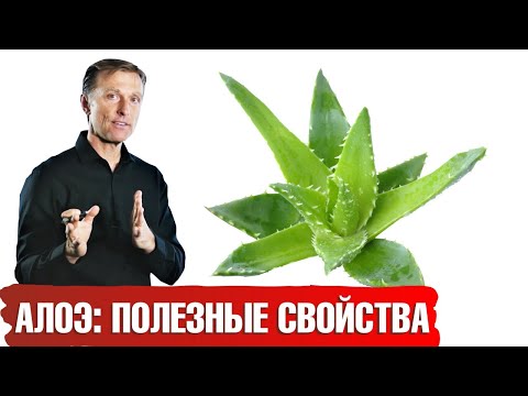 Видео: Польза алоэ вера для кожи и для организма🍃