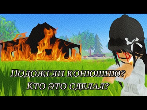 Видео: Я поменяла конюшню?/Полный обзор ЧКСК/wild horse islands roblox/RP/ VLOG