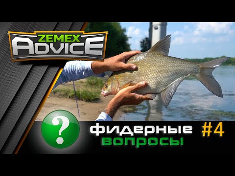 Видео: ВСЁ О ФИДЕРЕ / ОТВЕТЫ НА ВОПРОСЫ / ZEMEX Advice