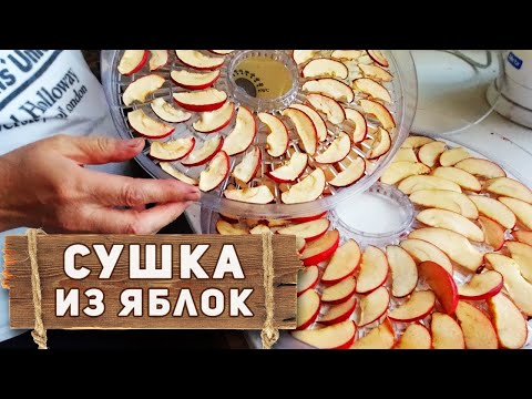 Видео: Как сушить яблоки в сушилке? Быстрая заготовка сушки из яблок на зиму