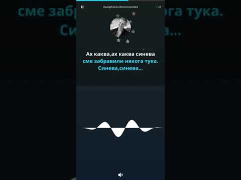 Видео: Васил Найденов - Синева (Караоке)
