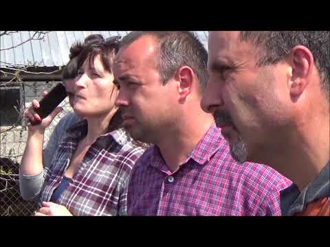 Видео: Формироване кроны однолетки   Апрель 2018