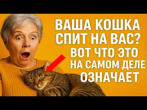 Видео: Ваша кошка спит на вас? Вот что это НА САМОМ ДЕЛЕ означает