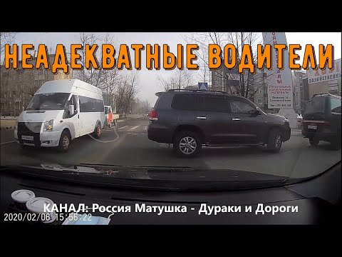Видео: Неадекватные водители и дураки на дороге #237! Road Rage Compilation on Dash Cam!