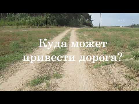 Видео: Куда может привести дорога?
