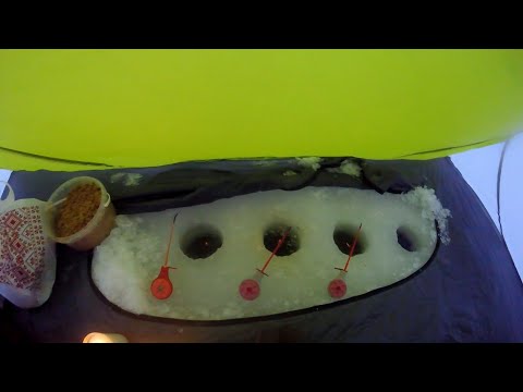 Видео: ¯\_(ツ)_/¯ ❄Нічна рибалка❄ - ночівля 🌉 в палатці (а риби не має) 🎣