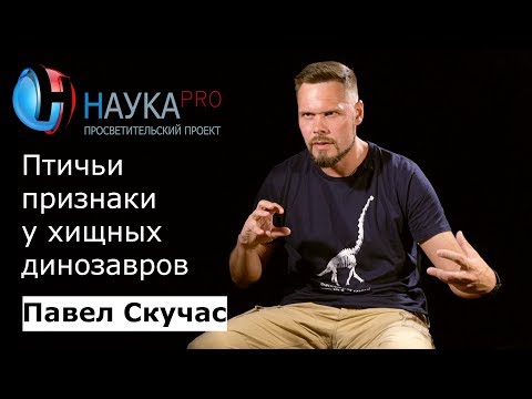 Видео: Птичьи признаки у хищных динозавров – палеонтолог Павел Скучас | Научпоп