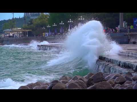 Видео: О чем молчат рыбы.17 Рыбы Черного моря