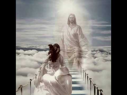 Видео: h'ə'му qöр'нада мерхас həбунə / Амик Алиян