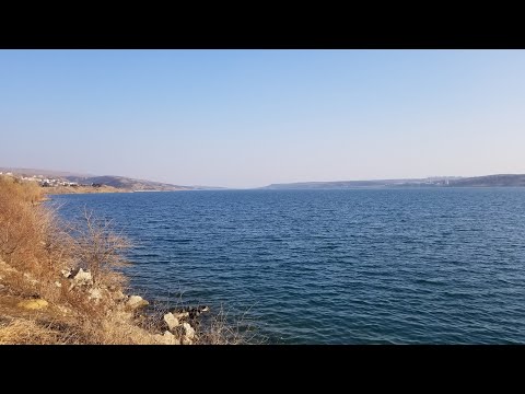 Видео: 22.02.2022 Tbilisi. Тбилисское море. Авшниани (улица Шанава)