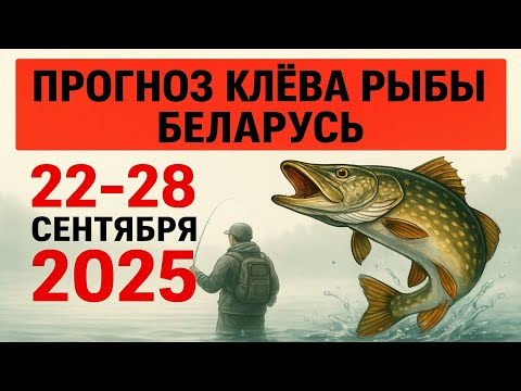 Видео: ПРОГНОЗ КЛЁВА в БЕЛАРУСИ с 22 по 28 сентября 2025 года. Бросай все и на рыбалку!
