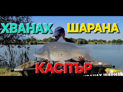 Видео: Хванах Шарана КАСПЪР
