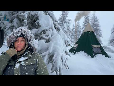 Видео: Одиночный снежный лагерь | Дикий лес, кулинария, навыки джунглей, зимний кемпинг, АСМР