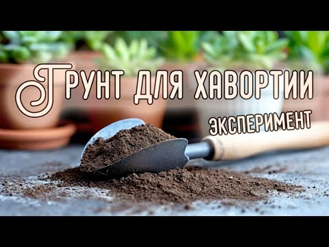 Видео: Грунт для хавортий (эксперимент)