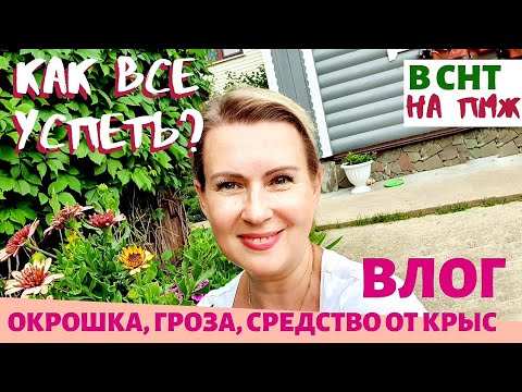 Видео: ВЛОГ | Окрошка. Гроза. Средство от крыс. Как все успеть?