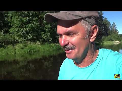 Видео: 2020г.Сплав р Керженец   часть- 4