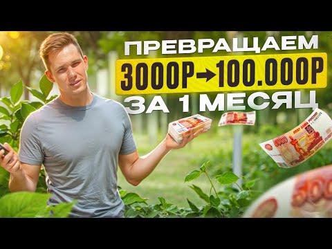 Видео: Бизнес с 3000 рублей на Авито. Пошаговая инструкция: с 3000 зарабатываем 100 000 рублей за 1 месяц