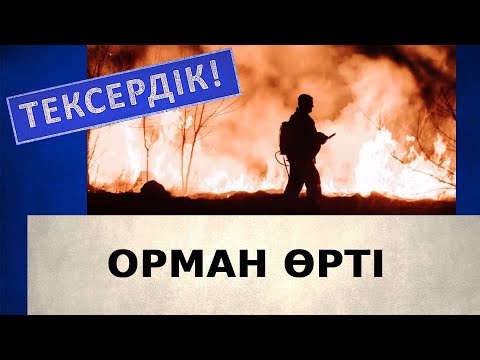 Видео: Орман өрті | Тексердік!