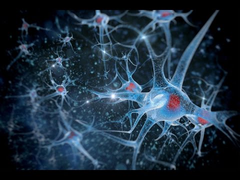 Видео: Чем занимаются нейрохирурги и кто становится их пациентом?