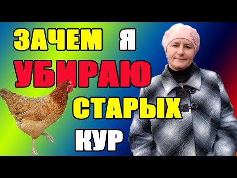 Видео: 1.Зачем отбраковывать старых кур. 2.Как определить курицу несушку.