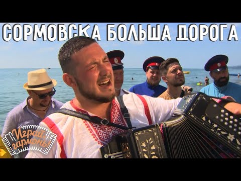 Видео: Даниил Вялков (Республика Алтай ) Сормовска больша дорога... | Играй, гармонь! | @igraygarmon