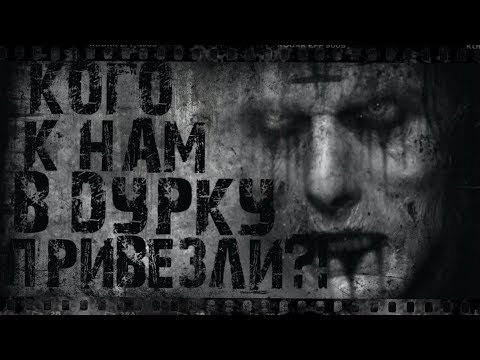 Видео: Кого к нам в д*рку привезли? Страшные истории, Страшилки