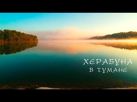 Видео: ХЕРАБУНА на ПРИКОРМКЕ! И никакого Китая.