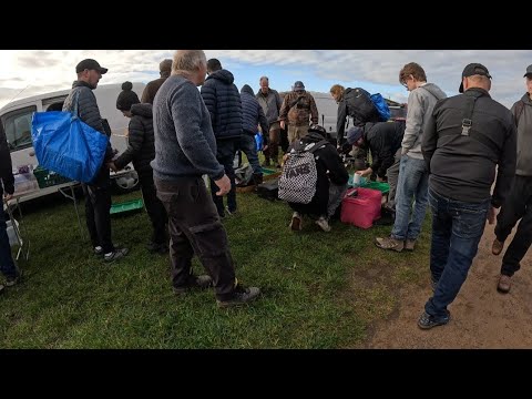 Видео: Охота за выгодными предложениями на субботнем автобагажнике / блошином рынке, Торкси #охотазасдел...