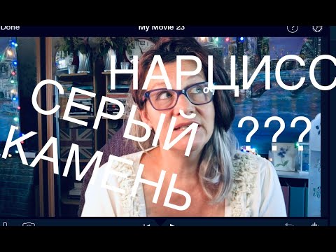 Видео: 88 НАРЦИССИЗМ:’СЕРЫЙ КАМЕНЬ‘РАБОТАЕТ ИЛИ НЕТ? С.АСПЕРГЕРА.СИНЕСТЕЗИЯ.ВЫСОКОЧУВСТВИТЕЛЬН.ЭМПАТИЯ. Q&A