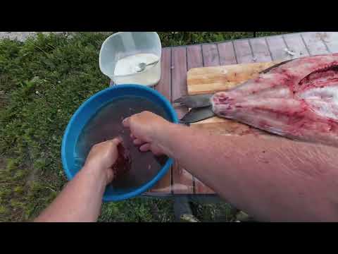 Видео: ЖЕРЕХ ВЯЛЕНЫЙ