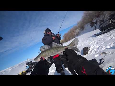 Видео: Отрыв по зимнему судаку 2021. Мороз и солнце; день чудесный!