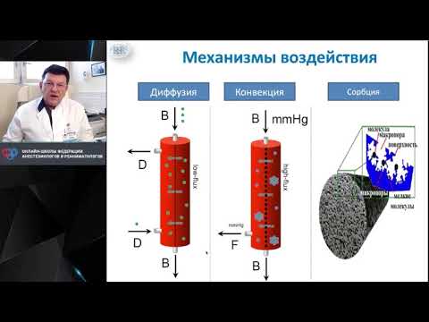 Видео: Эксторкорп детоксикация при сепсисе Кулабухов В В