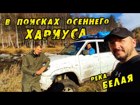 Видео: В ПОИСКАХ ОСЕННЕГО ХАРИУСА! Фильм ПРИКЛЮЧЕНИЕ! Экстремальная Рыбалка на Хариуса в долине реки ЧАРЫШ!