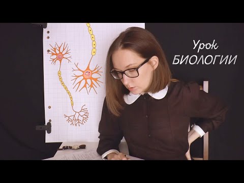 Видео: Асмр СССР Урок Биологии | asmr School in USSR