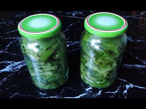 Видео: 3 ПРОСТЫХ СПОСОБА ЗАГОТОВКИ ВИНОГРАДНЫХ ЛИСТЬЕВ /ВИНОГРАДНЫЕ ЛИСТЬЯ ДЛЯ ДОЛМЫ